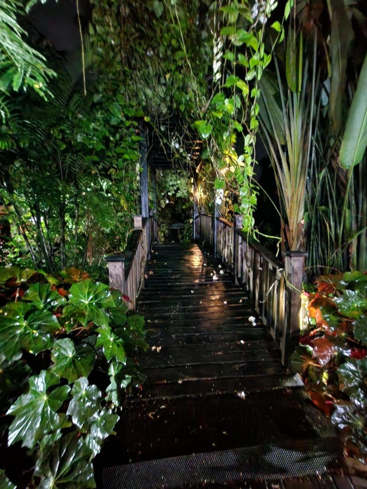 Hotel Diuwak Dominical Exterior foto